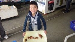 KIDS釣果　みなべ堺でズボ釣り