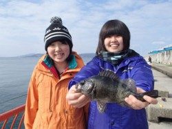 平磯海釣り公園　ウキ釣りでメバル26cm