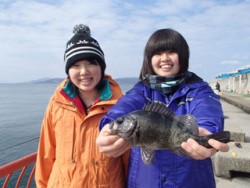平磯海釣り公園　ウキ釣りでメバル26cm