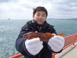 神戸市立平磯海づり公園 投稿