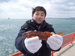 神戸市立平磯海づり公園 投稿