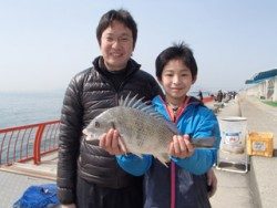 平磯海釣り公園　投げ釣りでキビレ40cm