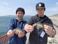 春休みは平磯海づり公園でメバル釣り