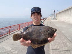 平磯海釣り公園　投げ釣りでマコガレイ29c…