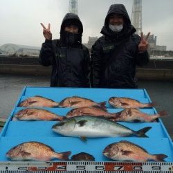 和歌山マリーナシティ海洋釣り堀 雨の中メジロ・マダイ