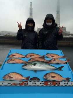 和歌山マリーナシティ海洋釣り堀 雨の中メジ…