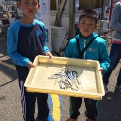 和歌山マリーナシティ海釣り公園 サビキイワシで初めての釣り体験