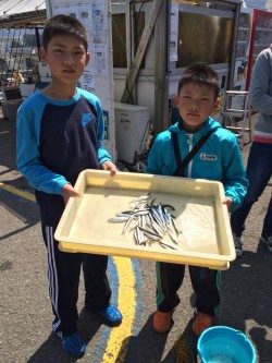 和歌山マリーナシティ海釣り公園 サビキイワシで初めての釣り体験