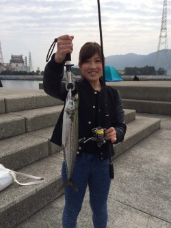 海釣り公園、メタルジグで50cmのサゴシ