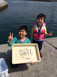 サビキでイワシ！ファミリーフィッシング釣果…