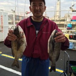 和歌山マリーナシティ海釣り公園 紀州釣りで良型チヌ