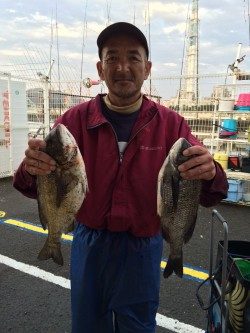 和歌山マリーナシティ海釣り公園 紀州釣りで良型チヌ