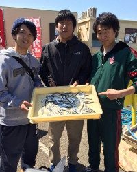 和歌山マリーナシティ海釣り公園 サビキで豆イワシ100尾