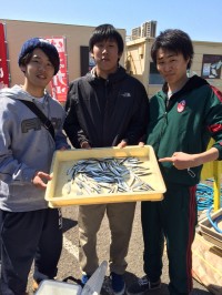 和歌山マリーナシティ海釣り公園 サビキで豆…
