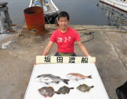 黒島の筏 でチヌ　他マダイにカワハギ