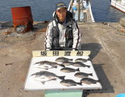 ホウライにて良型チヌとグレの釣果