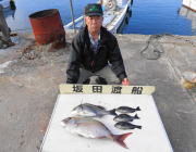 鷹島のカンドリのフカセ釣果〜マダイ・チヌ・…