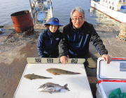 黒島の筏にてチヌ・マゴチ・マダイ