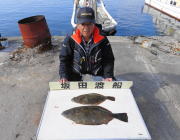 黒島の筏　のませ釣りでグッドサイズのヒラメ…