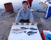 ホウライ磯 、鷹島のカンドリにてグレと良型チヌの釣果