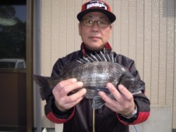 カルモ島のフカセ釣りでチヌの釣果