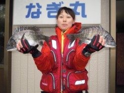 カルモ島でチヌ、カンダイ釣れました