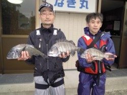 カルモ島のフカセ釣果、マダイとチヌ釣れています