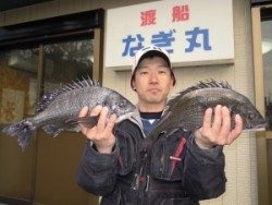 カルモ島でのフカセ釣り釣果