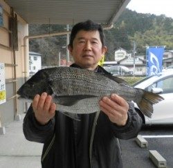 神野浦イカダで年無し！チヌ51.3cm