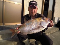 湯浅の磯・カルモ島にて良型マダイ