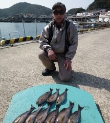 神谷沖一文字　カゴ釣りでイサギ好調