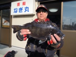 カルモ島にてフカセ釣りでチヌの釣果