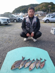 神谷沖一文字　カゴ釣りでイサギ6尾