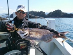 湯浅の磯で真鯛73cm釣れました！