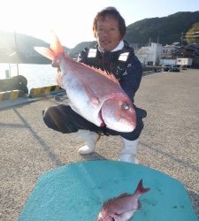 神谷一文字　カゴ釣りでマダイの釣果