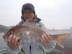 須磨海づり公園 、流し釣りで45cmのマダイ！