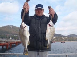 神戸市立須磨海づり公園 投げ釣りでキビレ4…