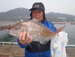 神戸市立須磨海づり公園 ウキ流し釣りでマダイ60ｃｍ