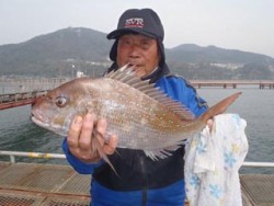 神戸市立須磨海づり公園 ウキ流し釣りでマダ…