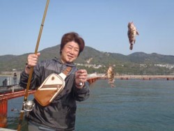 神戸市立須磨海づり公園、胴突きでガシラ