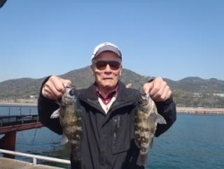 神戸市立須磨海づり公園 メバル27cm&a…