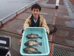 神戸市立須磨海づり公園 投稿