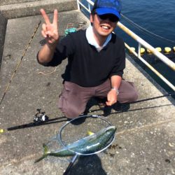 ハマチ釣れました