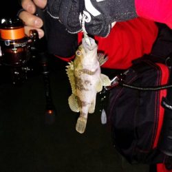 アタリがあるもののチビばかり