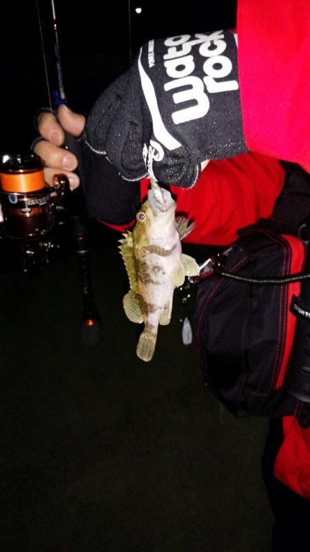 アタリがあるもののチビばかり