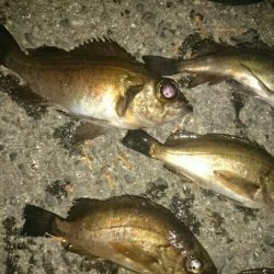 ちょぃよくなってきたかな？