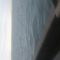 ハゼ　と　ハプニング