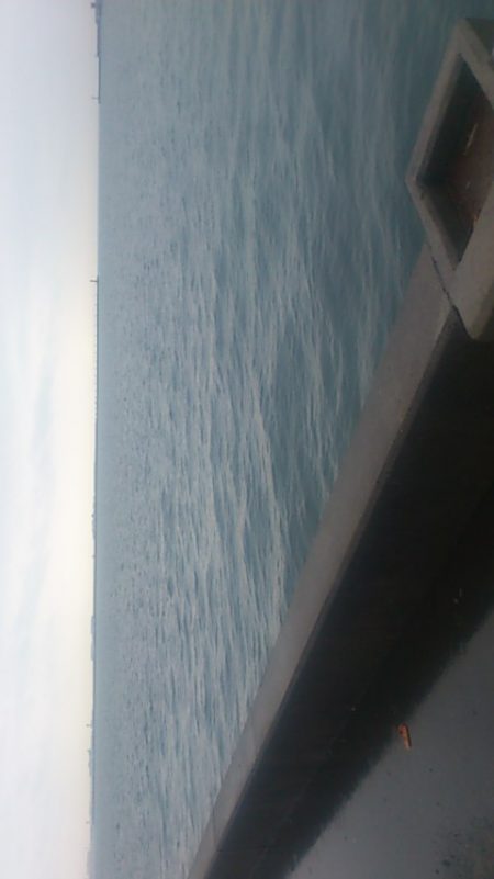 ハゼ　と　ハプニング