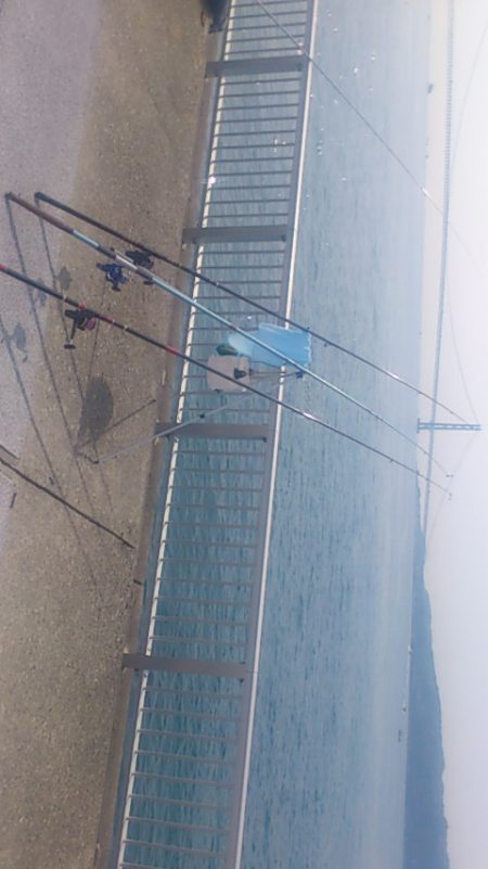 カレイとアイナメと・・・マグロ!?