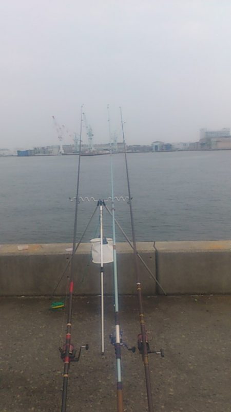 兵突にサビキシーズン開幕!?